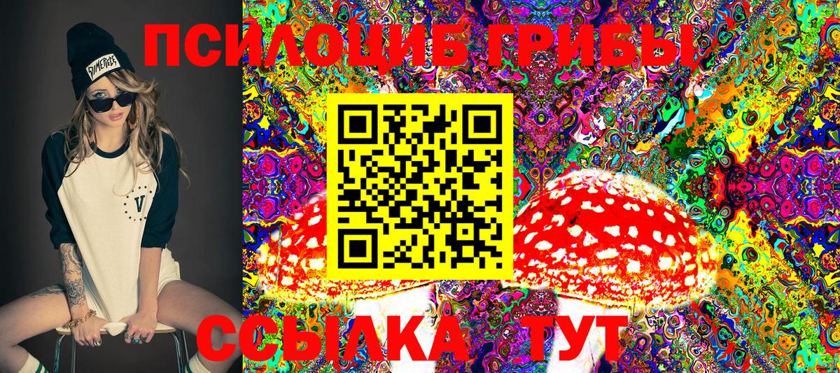 Галлюциногенные грибы Psilocybine cubensis Туймазы