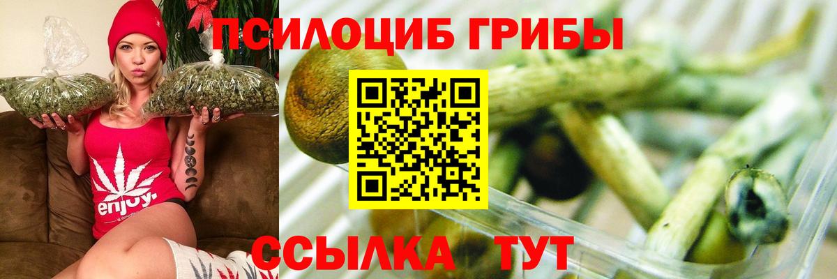 Галлюциногенные грибы Cubensis  Вход с VPN  Туймазы 
